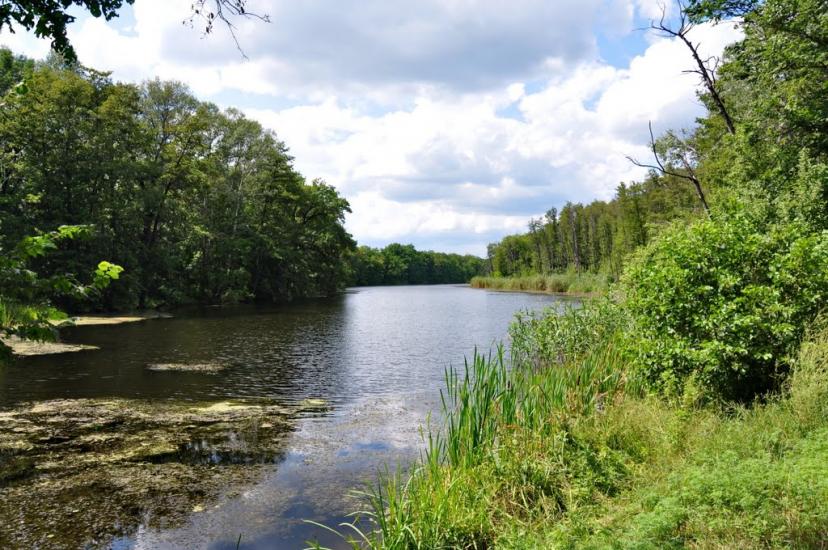 Серебрянка з panoramio.com - Серебрянка