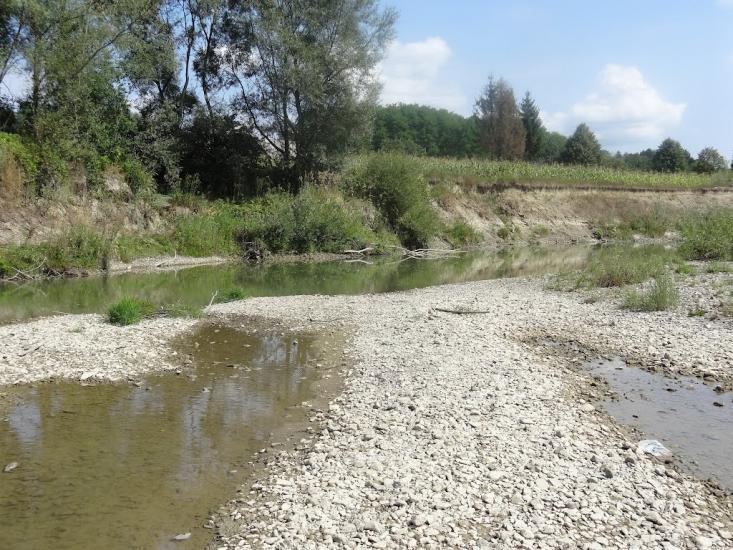 Верхні Петрівці з panoramio.com - Верхние Петровцы