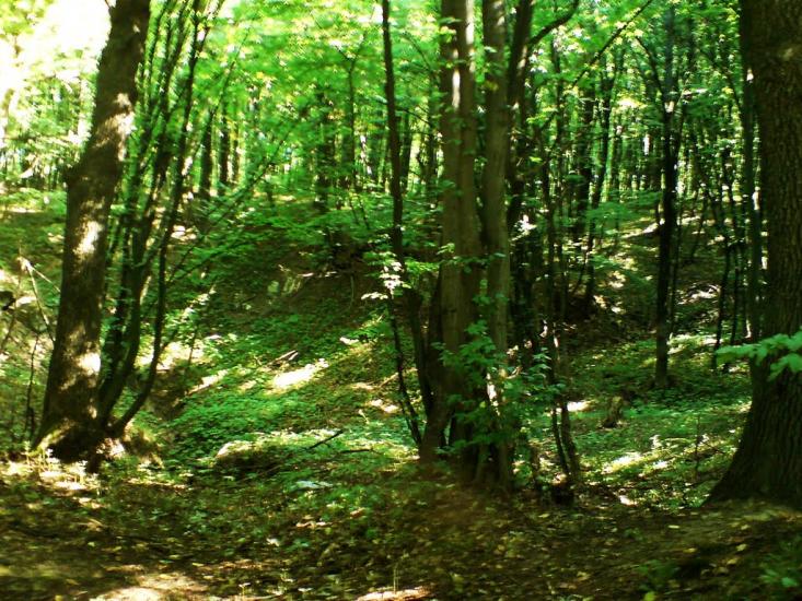 Войнилів з panoramio.com - Voynyliv