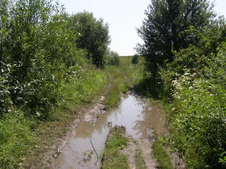 Пінчуки з panoramio.com - Пінчуки