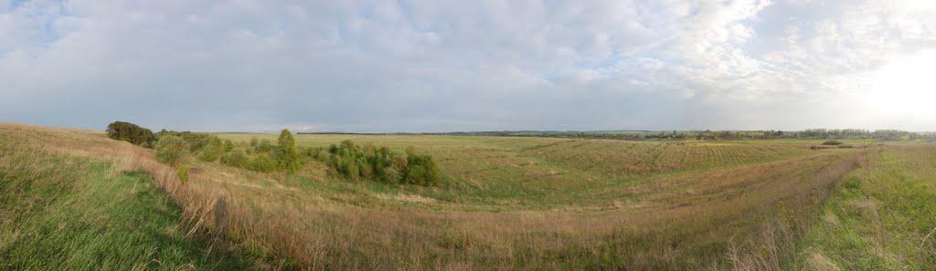 Рогізне з panoramio.com - Рогозное