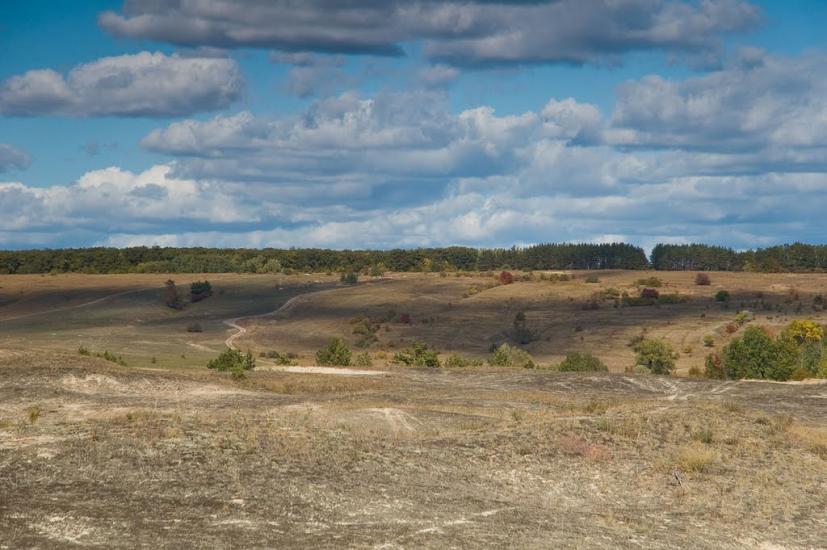 Кицівка з panoramio.com - Кицевка