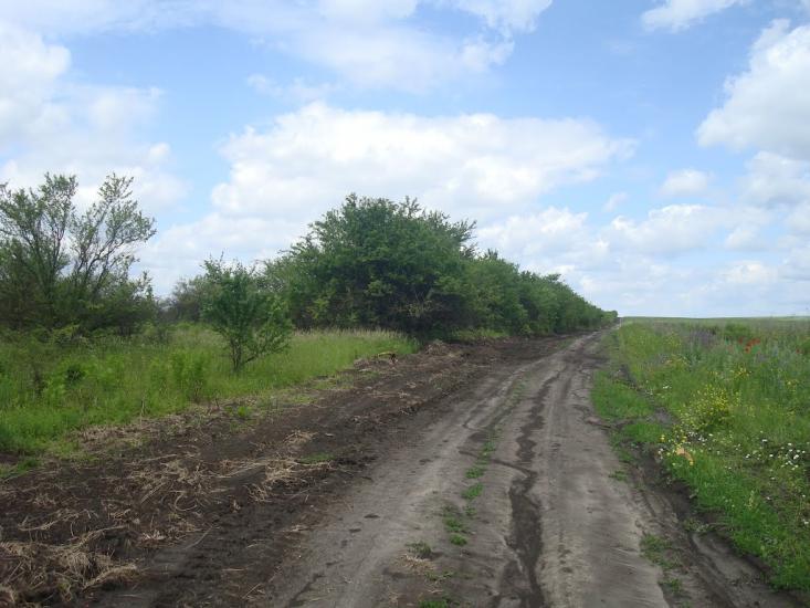 Давидківці з panoramio.com - Давыдковцы