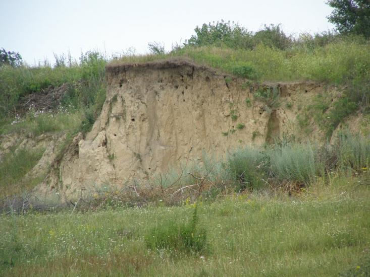 Пінчуки з panoramio.com - Пинчуки