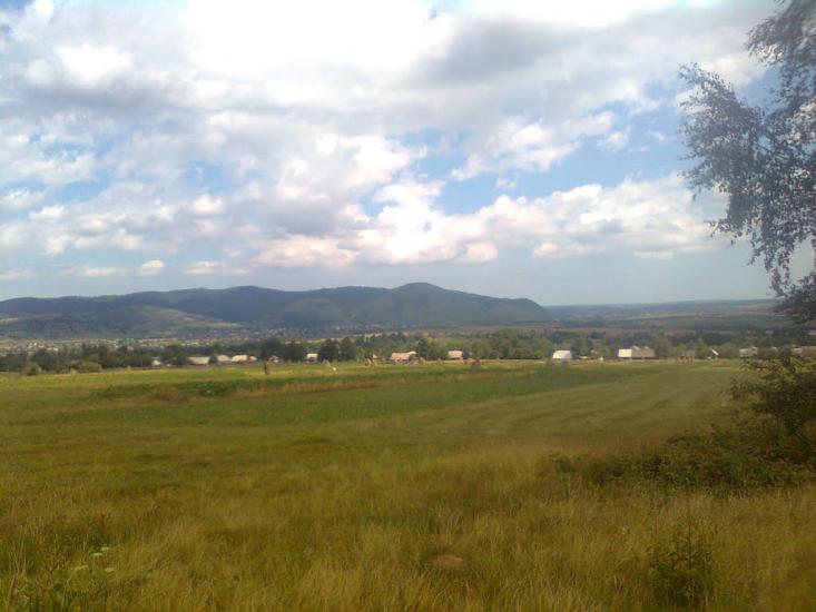 Пшеничники з panoramio.com - Пшеничники