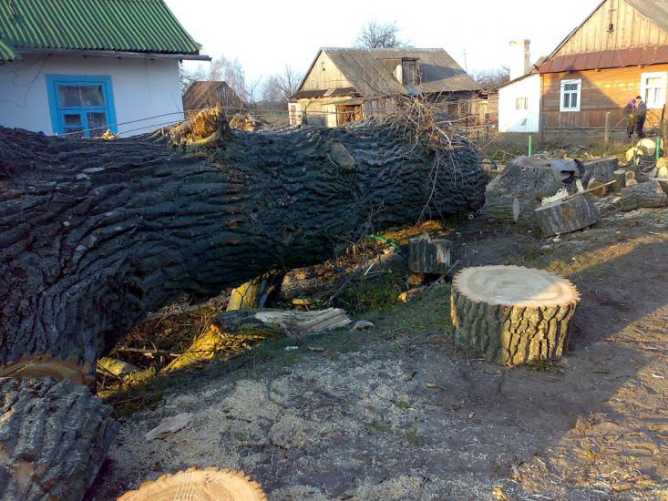 Камінь-Каширський з panoramio.com - Камінь-Каширський