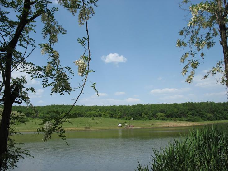 Верхньокам'янське з panoramio.com - Верхнекаменское