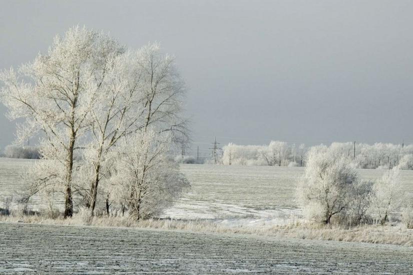 Кам'яна Яруга з panoramio.com - Кам'яна Яруга