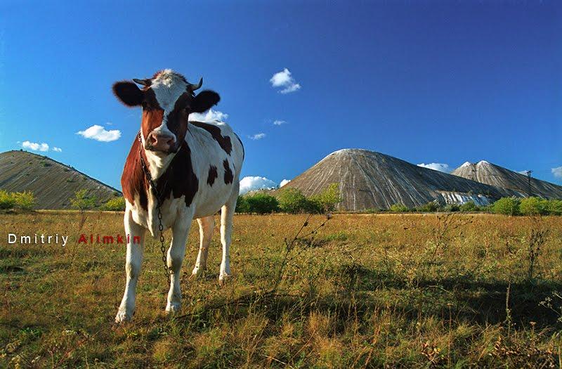 Райгородок з panoramio.com - Raygorodok