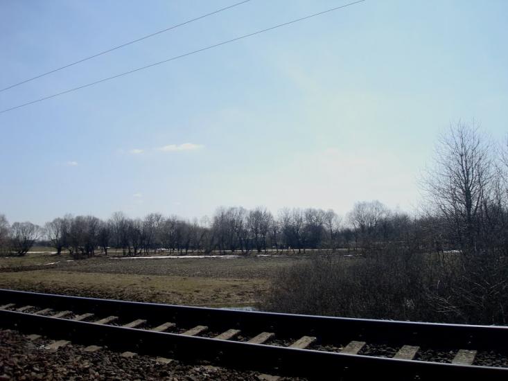 Коричинці з panoramio.com - Коричинцы