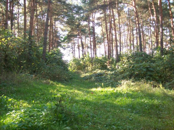 Флорине з panoramio.com - Флорино