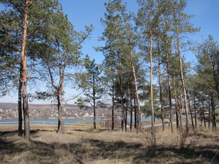 Бугаївка з panoramio.com - Бугаївка