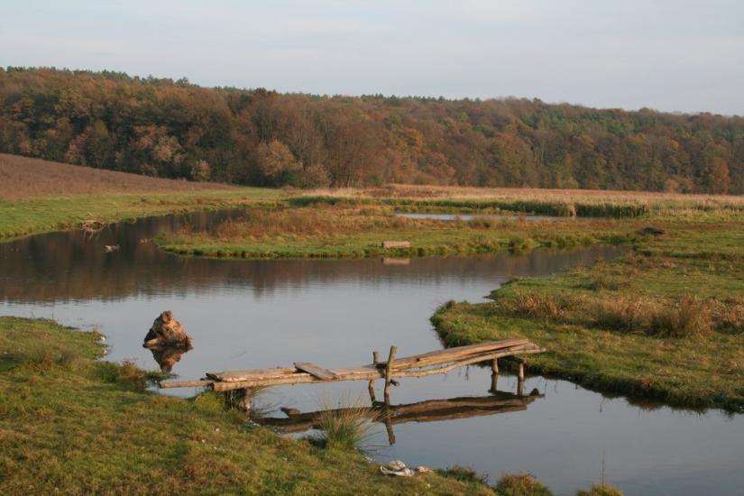 Пашківці з panoramio.com - Пашковцы