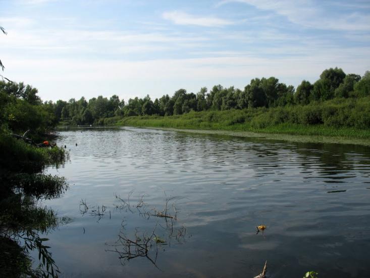 Снов'янка з panoramio.com - Сновянка