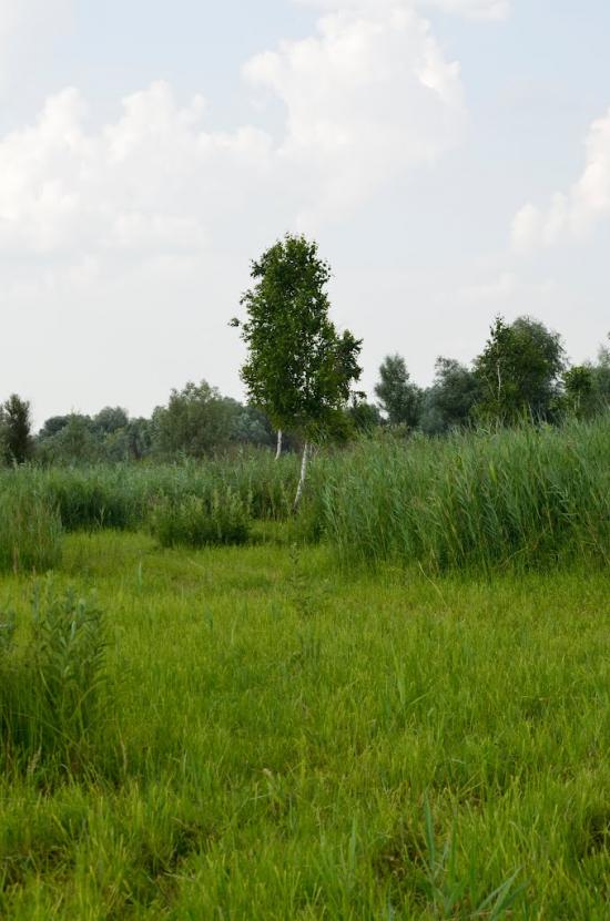 Біла з panoramio.com - Біла