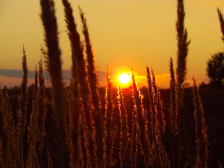 Мощена з panoramio.com - Мощена