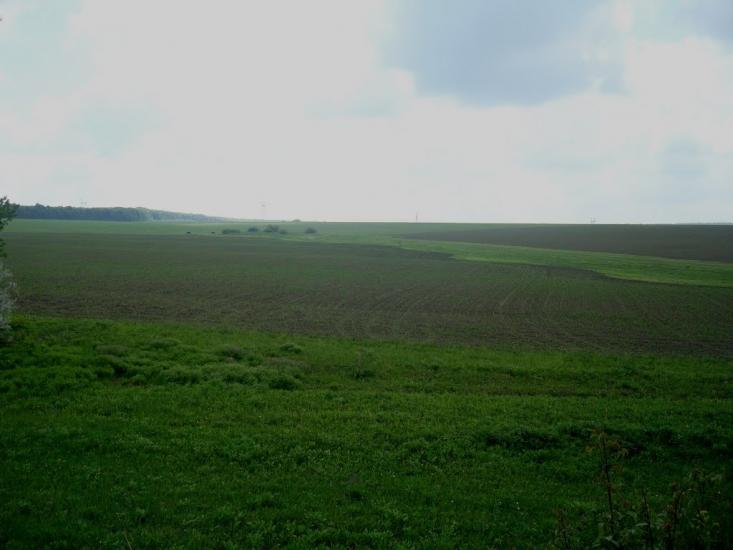 Зеленче з panoramio.com - Зеленче