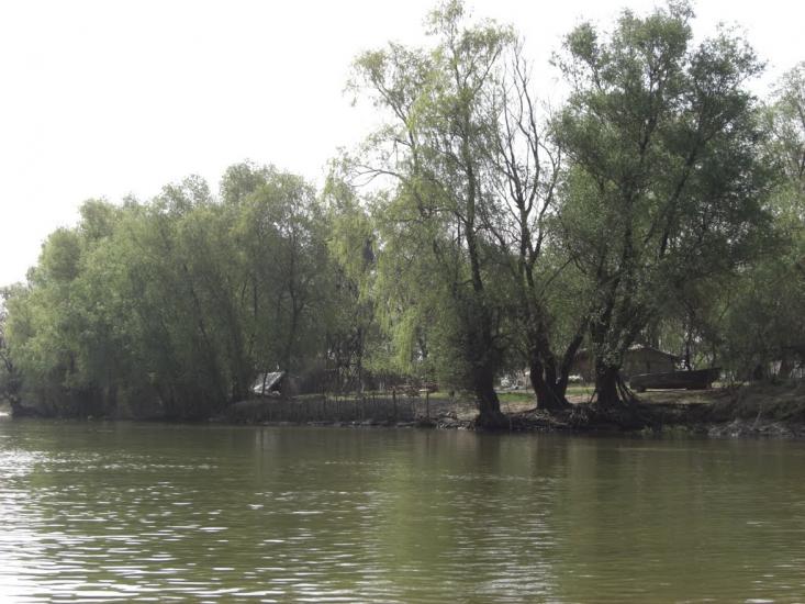 Дунайське з panoramio.com (ч.2) - Дунайське