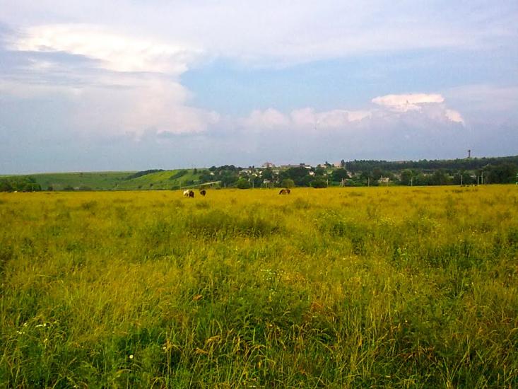 Лошнів з panoramio.com - Лошнев