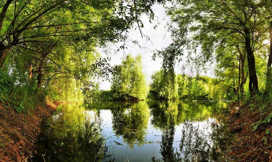 Вільхуватка з panoramio.com - Вільхуватка