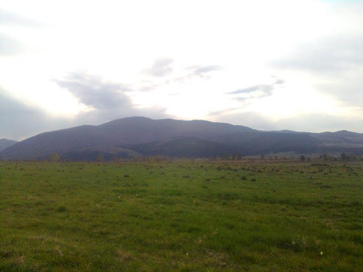 Пшеничники з panoramio.com - Пшеничники