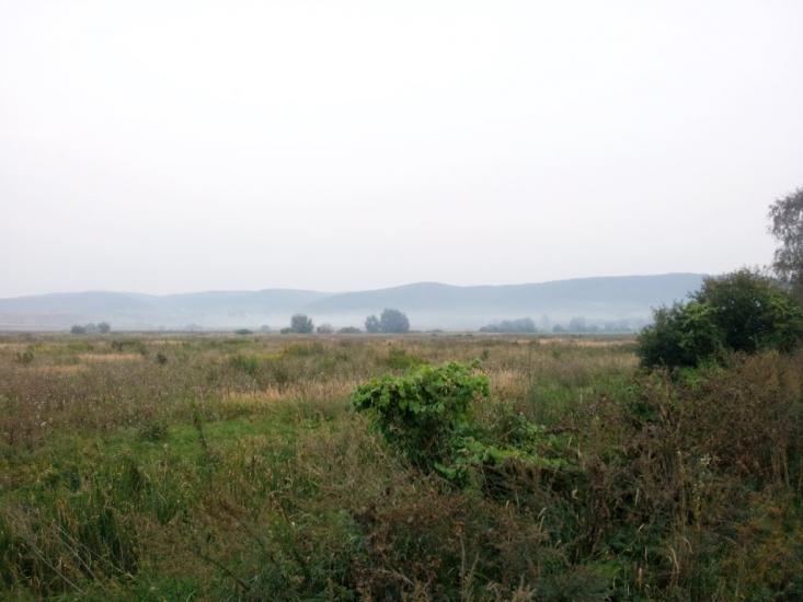 Кривичі з panoramio.com - Кривичі