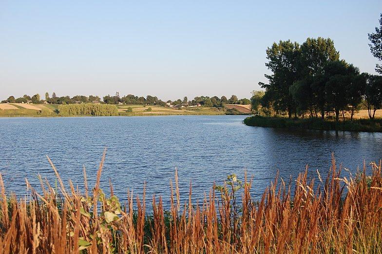 Рогізне з panoramio.com - Рогозное