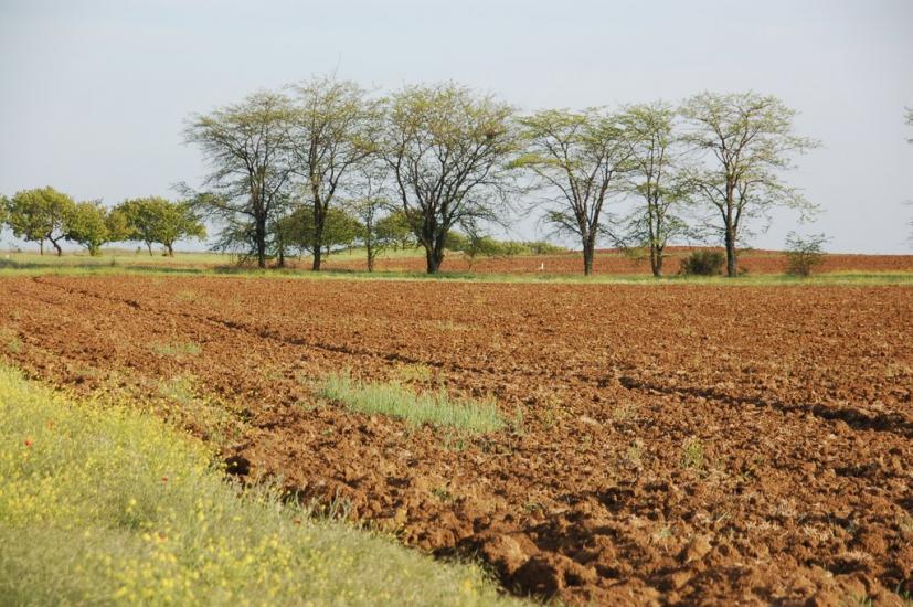 Віліне з panoramio.com - Віліне