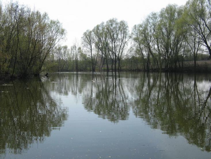 Юрівка з panoramio.com - Юровка