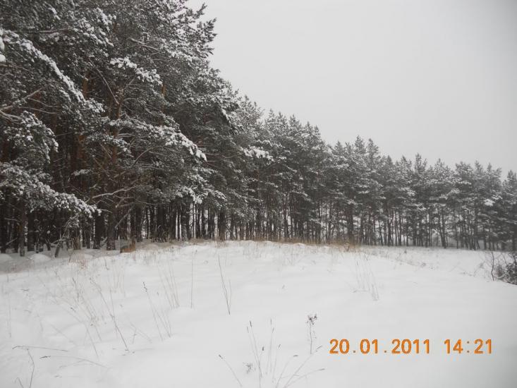 Могриця з panoramio.com - Mogrytsya