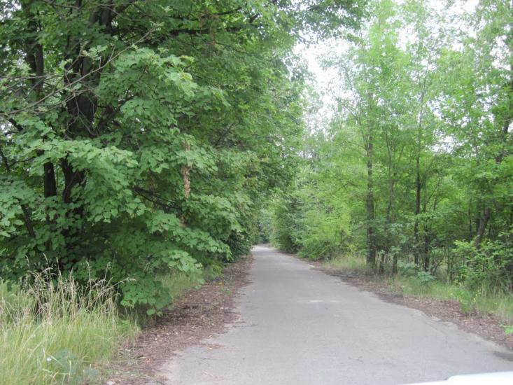 Павлиш з panoramio.com - Павлиш