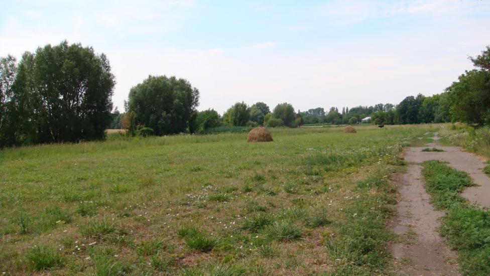 Ковтуни з panoramio.com - Ковтуны