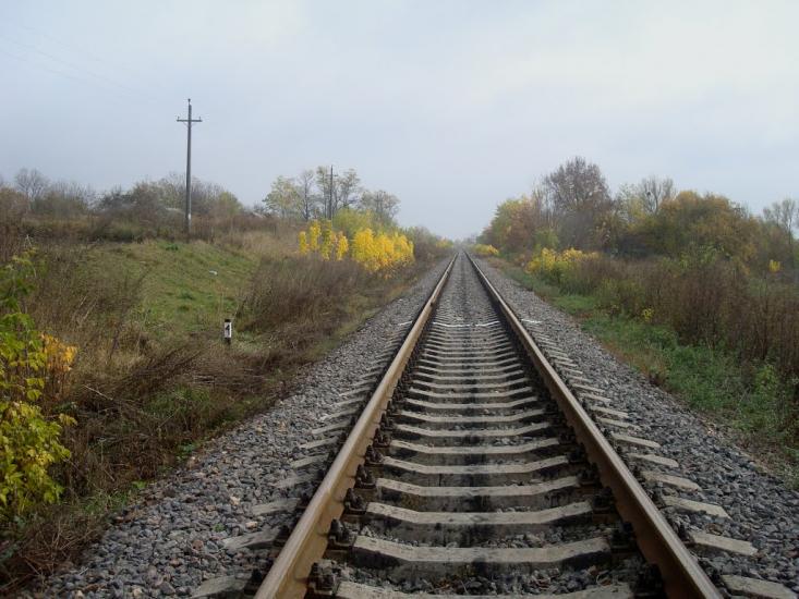 Кузьминчик з panoramio.com - Кузминчик