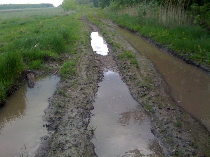 Дацьки з panoramio.com - Дацьки