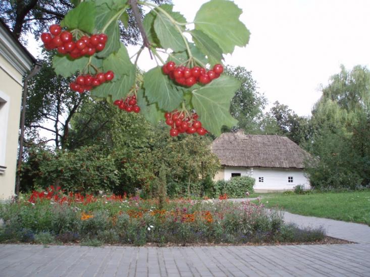 Шевченкове з panoramio.com - Шевченкове