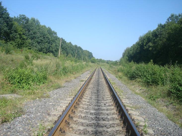 Мала Слобідка з panoramio.com - Мала Слобідка