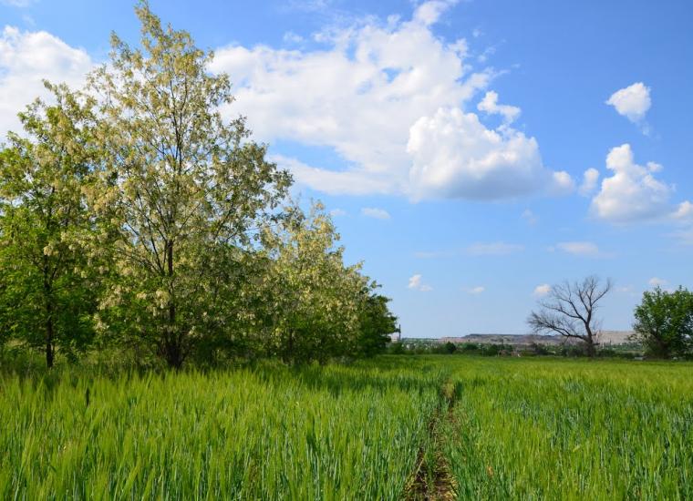 Селидове з panoramio.com - Селидово