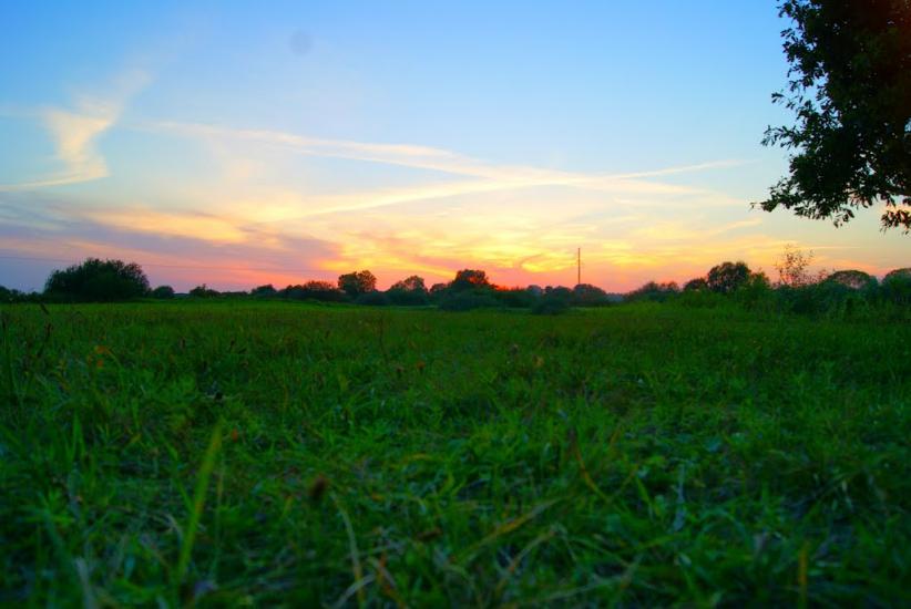 Семки з panoramio.com - Семки