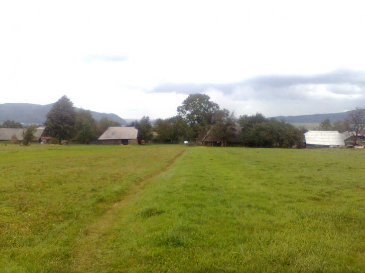 Пшеничники з panoramio.com - Пшеничники