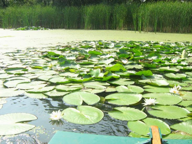 Дзержинське з panoramio.com - Дзержинское