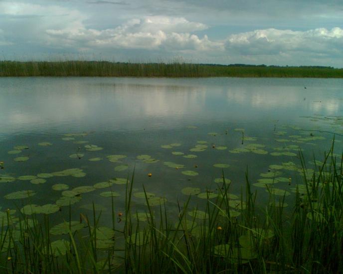 Любитове з panoramio.com - Любитове