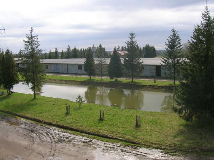 Стрілковичі з panoramio.com - Стрілковичі