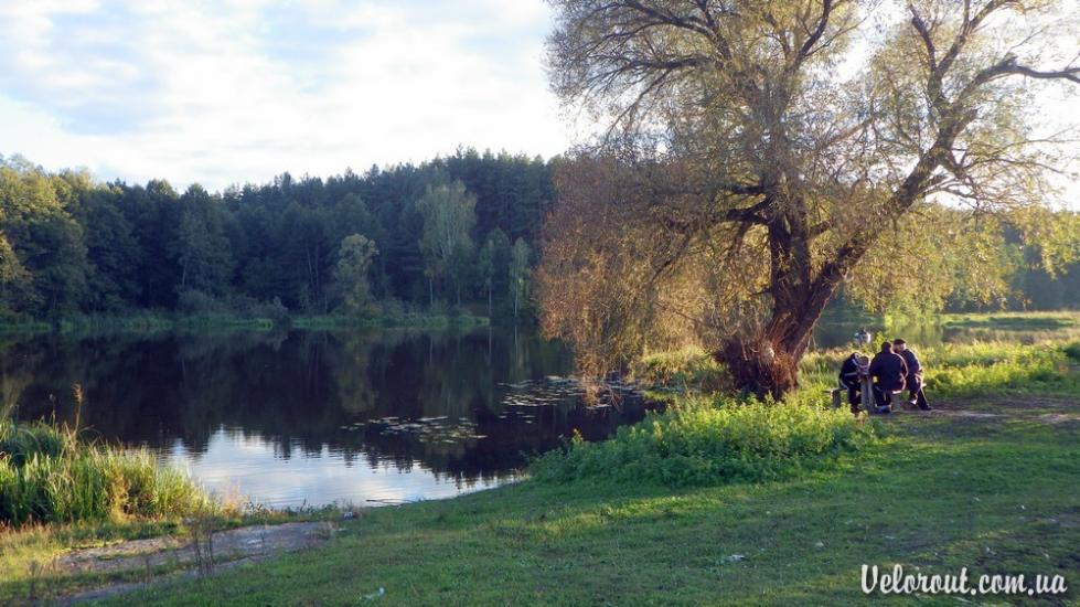 Бовсуни з panoramio.com - Бовсуны