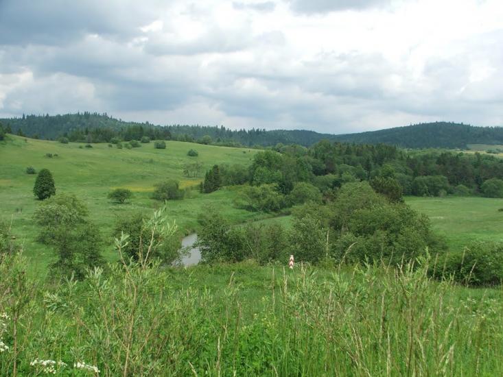 Шандровець з panoramio.com - Шандровец