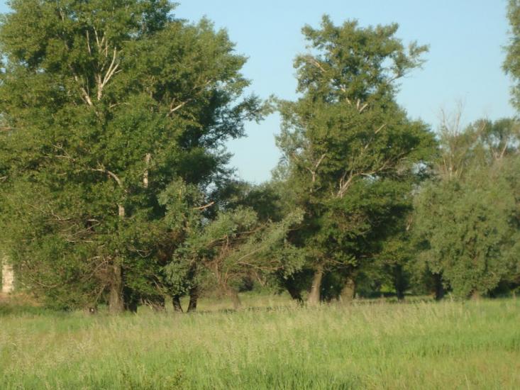 Лутугине з panoramio.com - Лутугино