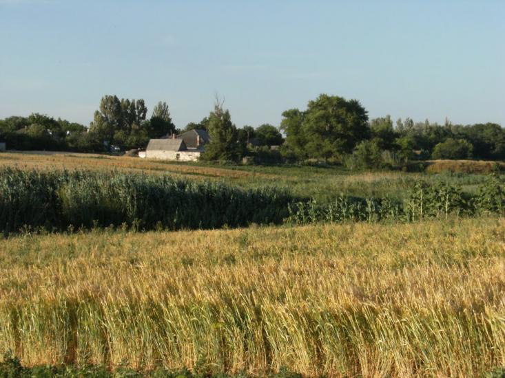 Козацьке з panoramio.com - Козацьке
