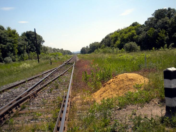 Добросин з panoramio.com - Добросин