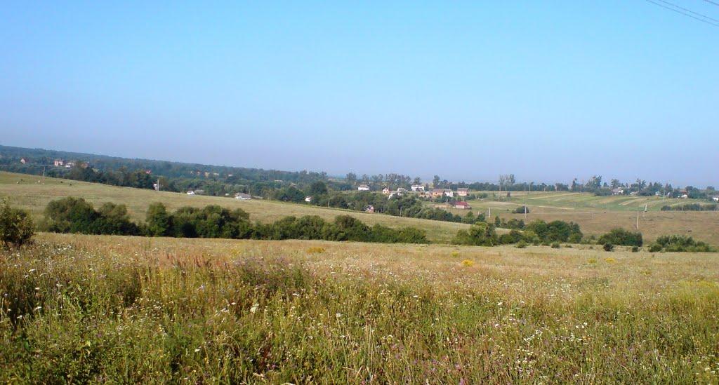 Войнилів з panoramio.com - Войнилов