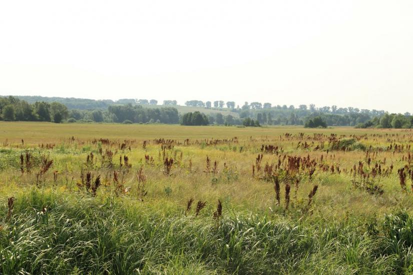 Деркачівка з panoramio.com - Деркачівка