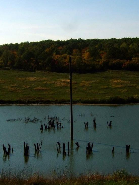 Солоницівка з panoramio.com - Solonytsivka